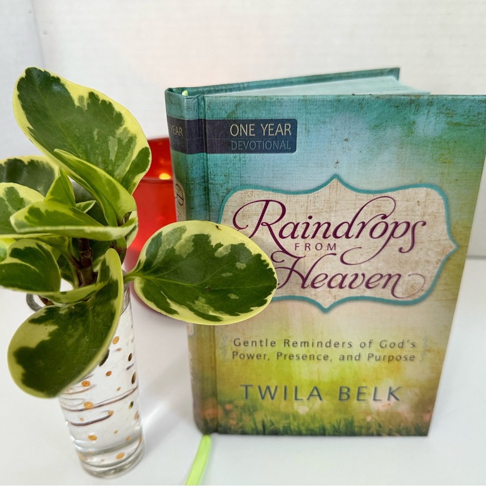 Raindrops from Heaven, One Year Devotional by Twila Belk